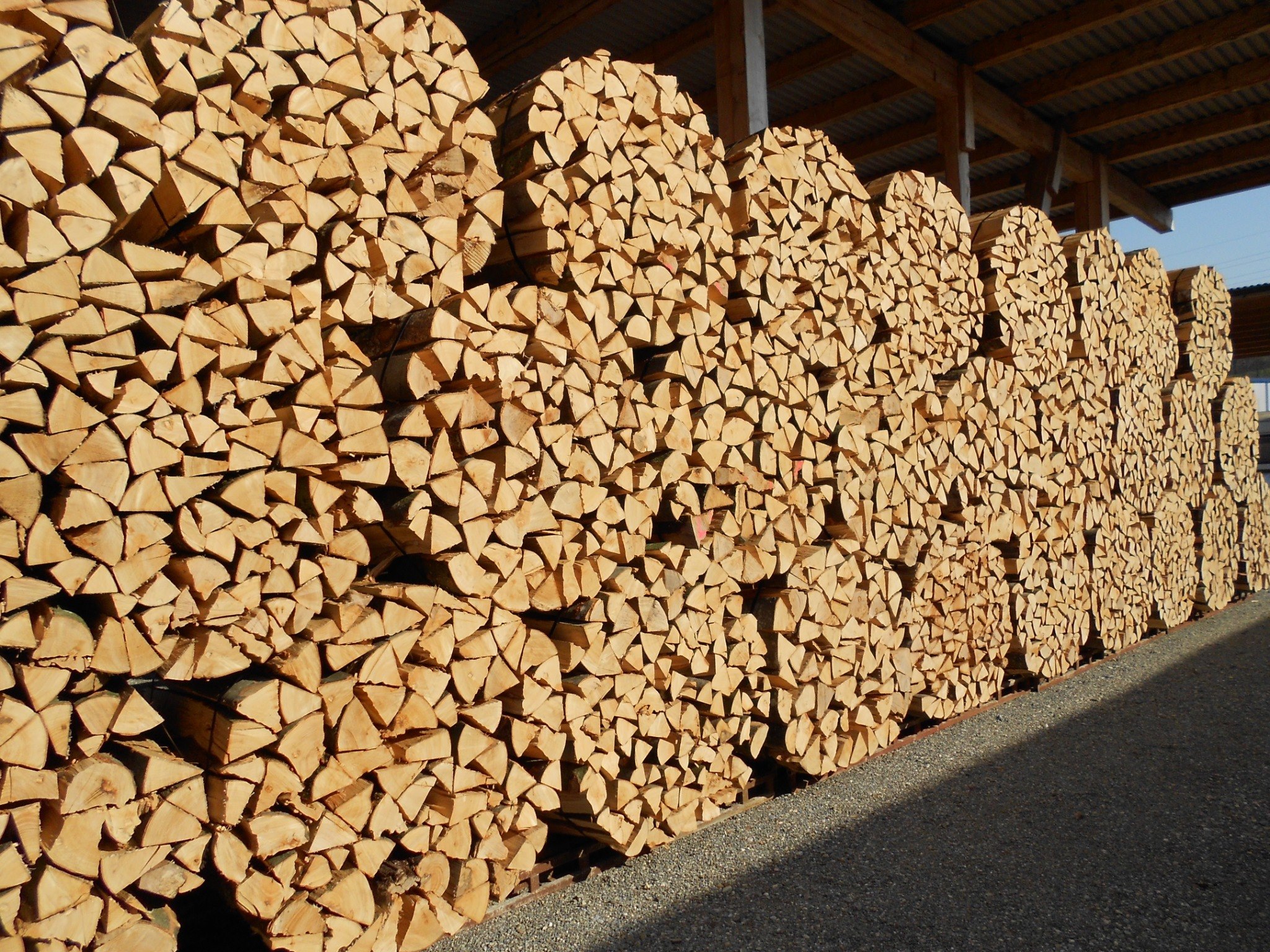 Buchenholz als Brennholz